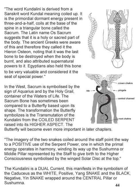 cup of hermes explained|cup of hermes meaning.